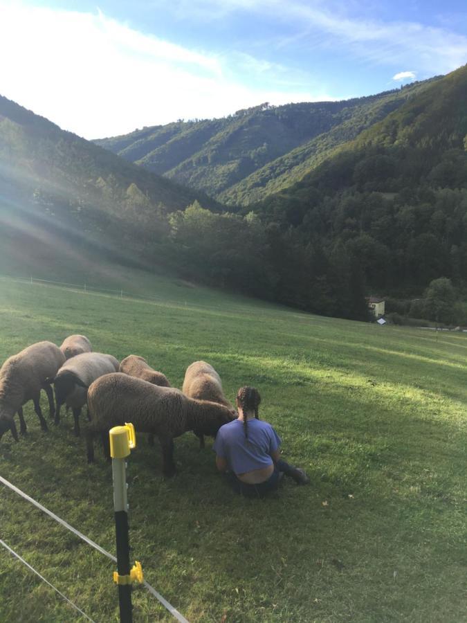 Apartamento Buechlhof - App. Himmelalm Lilienfeld Exterior foto